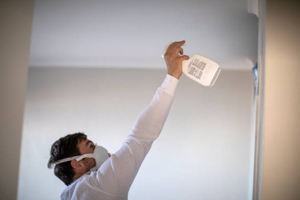 Lake In The Hills, IL Mold Remediation Company