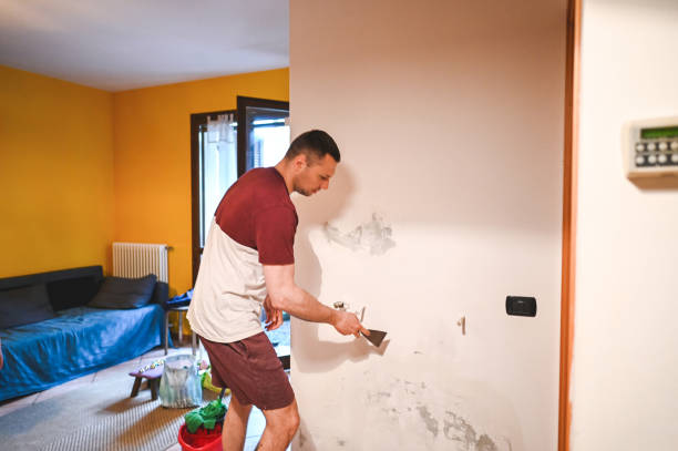 Best Residential Mold Remediation in Lake In The Hls, IL